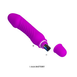 Pretty Love Vibro Stev 11 x 2.8 cm Violet